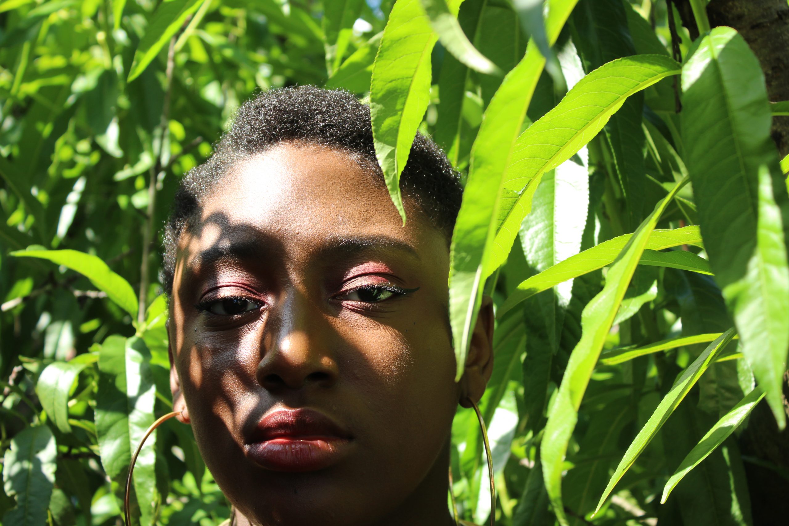 ABM Social and Environmental Safeguards