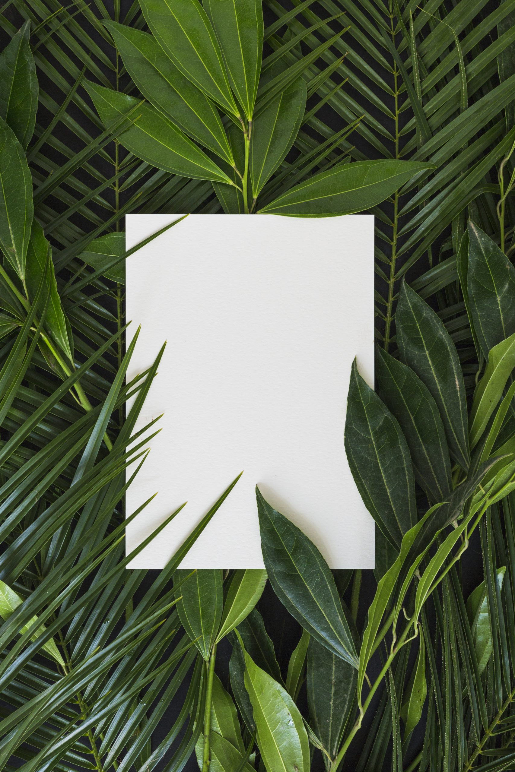 ABM Validation and Verification